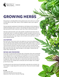 Growing Herbs cover