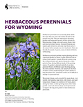 Landscaping: Herbaceous Perennials for Wyoming cover