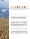 Feral Rye: A Serious Threat to High Quality Wheat cover