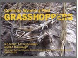 Common Wyoming Pest Grasshoppers cover