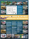 Pest Grasshopper of the West - Identification and Management Poster cover