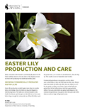 Easter Lily Production and Care cover