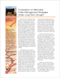 Comparison of Alternative Cattle Management Strategies Under Long-Term Drought cover