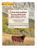 3-Step Body Condition Scoring (BCS) for Range Cattle cover