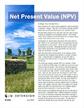 Net Present Value (NPV) cover