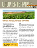 Crop Enterprise Budget: Irrigated Sugarbeet, Goshen County Wyoming cover
