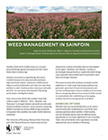 Weed Management in Sainfoin cover