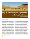Beef Cow Size: industry trends, economics, and implications for grazing Wyoming rangelands cover