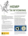 Hemp in Wyoming cover