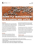 Horn Fly Management for Wyoming Beef Cattle cover