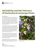 Soil Salinity and Salt Tolerance Horticultural and Landscape Plants cover