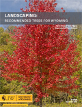 Landscaping: Recommended Trees for Wyoming cover