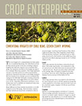 Crop Enterprise Budget: Conventional Irrigated Corn for Grain, Goshen County, Wyoming cover