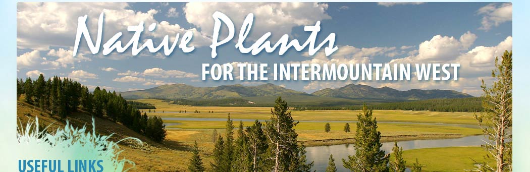 Native Plants for the Intermountain West: Links