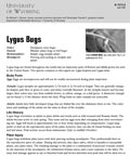 Lygus Bugs cover