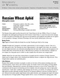 Russian Wheat Aphid cover
