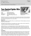 Two Spotted Spider Mite cover