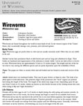 Wireworms cover