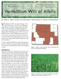 Verticillium Wilt of Alfalfa cover