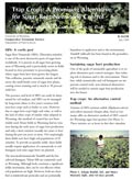 Nematode-Resistant Trap Crops: A New Method of Pest Control for Wyoming Sugar Beet Growers cover