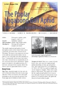 The Poplar Vagabond Gall Aphid cover