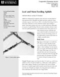 Leaf and Stem Feeding Aphids cover
