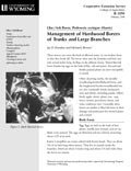 Lilac/Ash Borer: Management of Hardwood Borers of Trunks and Large Branches cover