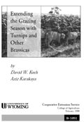 Extending the Grazing Season with Turnips and Other Brassicas cover