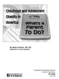 Childhood and Adolescent Obesity in America: What's A Parent to Do? cover