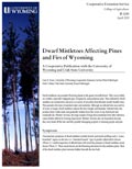 Dwarf Mistletoe Affecting Pines and Firs of Wyoming cover