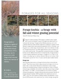 Forage Kochia: A Forage with Fall and Winter Grazing Potential cover