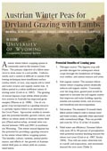 Austrian Winter Peas for Dryland Grazing with Lambs cover