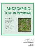 Landscaping: Turf in Wyoming cover