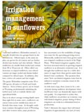 Irrigation Management in Sunflowers cover