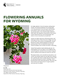Landscaping: Flowering Annuals for Wyoming cover