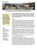 Reducing Impacts of Energy Development to Sagebrush Wildlife Habitats in Wyoming cover