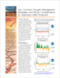 Two Common Drought Management Strategies and Some Considerations for Wyoming Cattle Producers cover