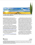 Can I Afford to Apply Nitrogen to My Crop This Year? cover