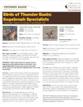 Birds of Thunder Basin: Sagebrush Specialists - Thunder Basin Ecology Factsheet #2 cover