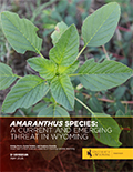 Amaranthus species - A current and emerging threat in Wyoming cover