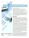 Understanding Financial Statements cover