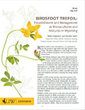 Birdsfoot Trefoil: Establishment and Management as Monocultures and Mixtures in Wyoming cover