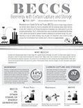 BECCS: Bioenergy with Carbon Capture and Storage cover