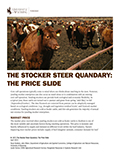The Stocker Steer Quandary: The Price Slide cover