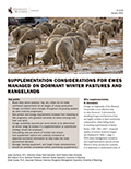 Supplementation considerations for ewes managed on dormant winter pastures and rangelands cover