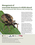 Management of Insecticide Resistance in Alfalfa Weevil for the Intermountain West: Montana, Utah, Wyoming cover