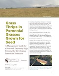 Grass Thrips in Perennial Grasses Grown for Seed: A Management Guide for a Pest with Extremely High Potential for Developing Insecticide Resistance cover
