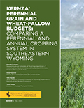 Kernza® Perennial Grain and Wheat-Fallow  Budgets:  Comparing a  Perennial and  Annual Cropping  System in Southeastern Wyoming cover