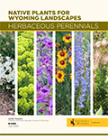 Native Plants for Wyoming Landscapes: Herbaceous Perennials cover