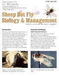 Sheep Bot Fly Biology and Management cover
